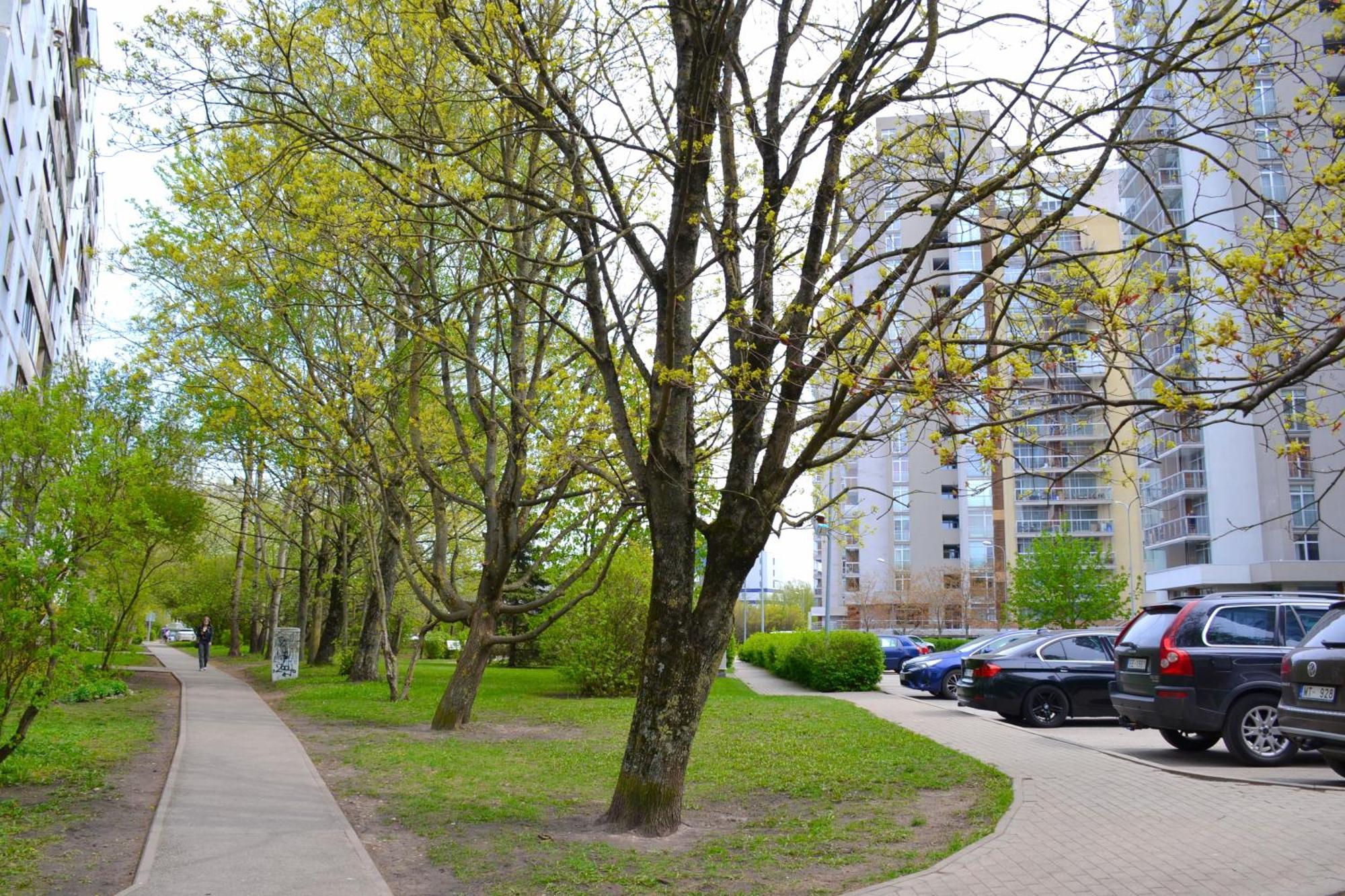 Imanta Apartment Riga Иманта 2х комн квартира Екстер'єр фото